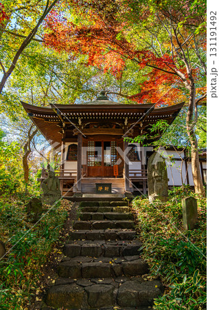 【東京都】紅葉が美しい九品仏浄真寺の観音堂 【東京都】紅葉が美しい九品仏浄真寺の観音堂 131191492