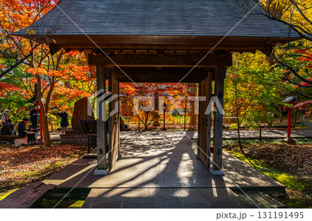 【東京都】紅葉が美しい九品仏浄真寺の薬医門 131191495