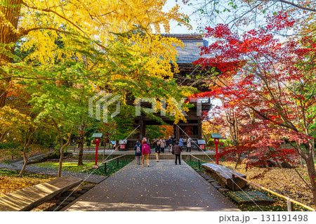 【東京都】紅葉が美しい九品仏浄真寺の山門 【東京都】紅葉が美しい九品仏浄真寺の山門 131191498