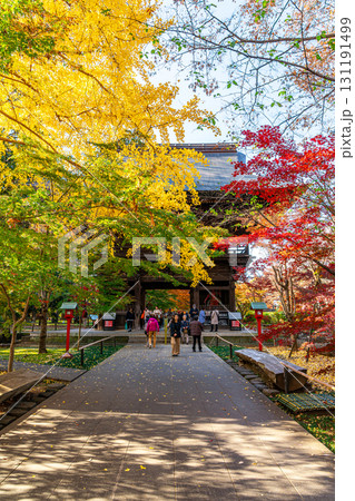 【東京都】紅葉が美しい九品仏浄真寺の山門 【東京都】紅葉が美しい九品仏浄真寺の山門 131191499