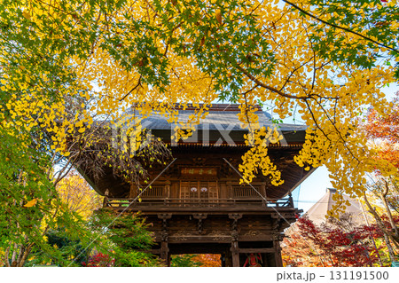 【東京都】紅葉が美しい九品仏浄真寺の山門 131191500