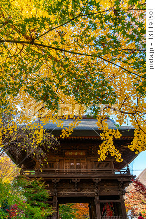 【東京都】紅葉が美しい九品仏浄真寺の山門 131191501