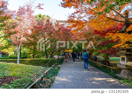 【東京都】紅葉が美しい九品仏浄真寺 【東京都】紅葉が美しい九品仏浄真寺 131191505
