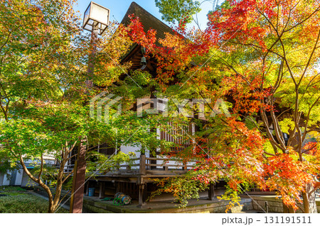 【東京都】紅葉が美しい九品仏浄真寺の本堂 【東京都】紅葉が美しい九品仏浄真寺の本堂 131191511