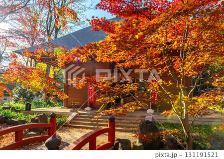 【東京都】紅葉が美しい九品仏浄真寺の閻魔堂 131191521