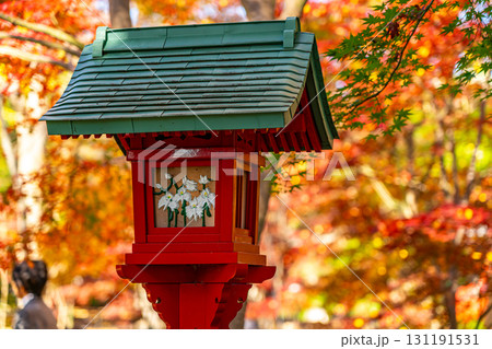 【東京都】鮮やかな紅葉に囲まれた九品仏浄真寺の灯籠 【東京都】鮮やかな紅葉に囲まれた九品仏浄真寺の灯籠 131191531