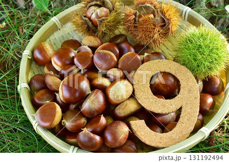 栗と9月イメージ 131192494