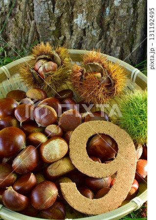 栗と9月イメージ 131192495
