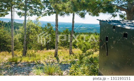 Hide for hunter in forest Hide for hunter in forest 131193151