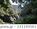 夏の晴れた日の鳩ノ巣渓谷 131193561