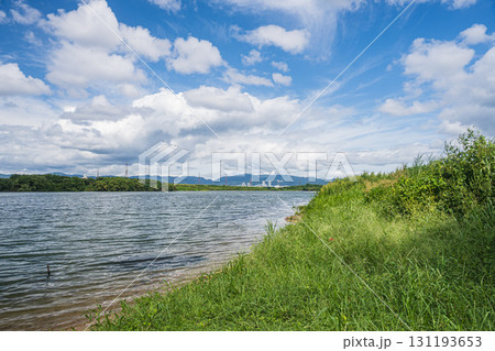 淀川風景 大阪府枚方市 淀川風景 大阪府枚方市 131193653