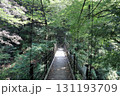 氷川渓谷の中のつり橋 131193709
