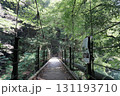 氷川渓谷の中のつり橋 131193710
