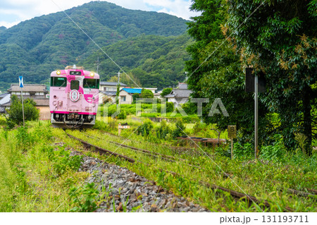 初秋の下牧を通過する津山駅行き観光列車・SAKU美SAKU楽1 岡山県岡山市北区 初秋の下牧を通過する津山駅行き観光列車・SAKU美SAKU楽1 岡山県岡山市北区 131193711