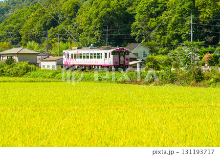 初秋の御津下田を通過する岡山駅行き観光列車・SAKU美SAKU楽1 岡山県岡山市北区 初秋の御津下田を通過する岡山駅行き観光列車・SAKU美SAKU楽1 岡山県岡山市北区 131193717