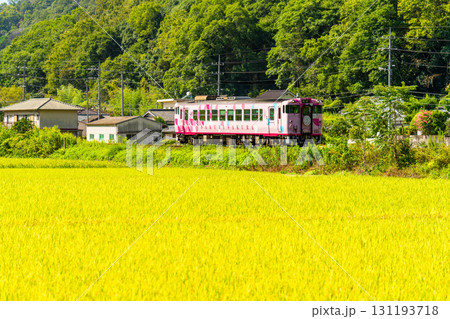 初秋の御津下田を通過する岡山駅行き観光列車・SAKU美SAKU楽2 岡山県岡山市北区 初秋の御津下田を通過する岡山駅行き観光列車・SAKU美SAKU楽2 岡山県岡山市北区 131193718