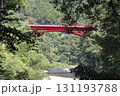 氷川渓谷にある赤い鉄橋 131193788
