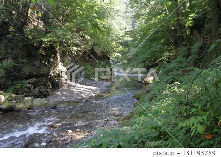 日の光が注ぐ渓流 131193789