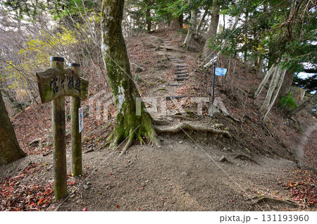 丹沢の峠 仏果山の宮ヶ瀬越 丹沢の峠 仏果山の宮ヶ瀬越 131193960