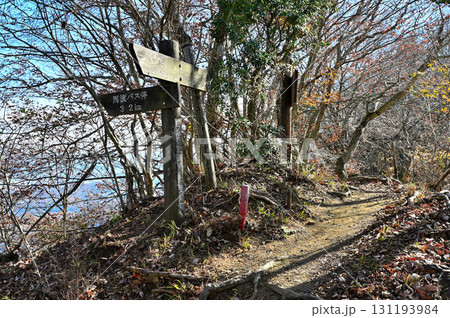 丹沢の相州アルプス 八州ヶ峰の馬渡分岐 丹沢の相州アルプス 八州ヶ峰の馬渡分岐 131193984