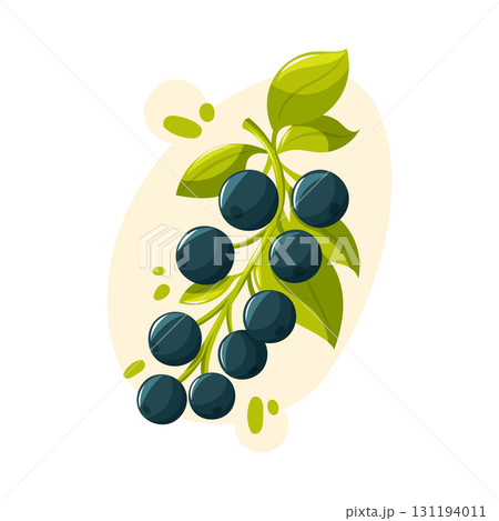 black currant vector illustration with green leaves. Cartoon style for garden harvest, food design and healthy lifestyle. 131194011