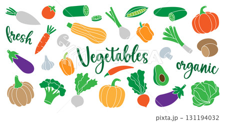 Vegetables. Fresh raw vegetables. Pepper, carrot, tomato, garlic, mushroom, avocado, pumpkin, broccoli, cabbage, turnip, zucchini, radish, eggplant. Vegetables. Fresh raw vegetables. Pepper, carrot, tomato, garlic, mushroom, avocado, pumpkin, broccoli, cabbage, turnip, zucchini, radish, eggplant. 131194032