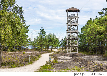 Kolkasrags Birdwatching Tower at Kolka Cape, Latvia 131194677