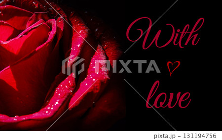 red rose with water drops on a black background 131194756