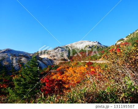 紅葉の磐梯吾妻スカイライン 131195507