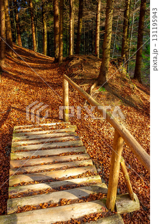 sunny autumn scenery in the park. trees without foliage. ground covered with fallen leaves. seasonal change in nature. small wooden bridge above dried brook 131195943