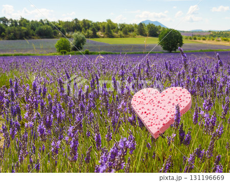 Lavender field and heart shaped pink sponge. Spa aromatherapy and cosmetology. 131196669