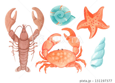 Watercolor clipart set with lobster, crab, seashells and starfish isolated on white background 131197377