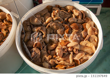 Pickled boletus mushrooms in a plastic bucket at the fair. Altai salted mushrooms - maslyata Pickled boletus mushrooms in a plastic bucket at the fair. Altai salted mushrooms - maslyata 131197649