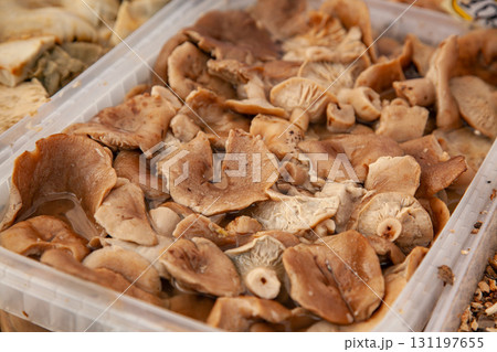 Pickled boletus mushrooms Maslyata in a plastic bucket at the russian fair. 131197655