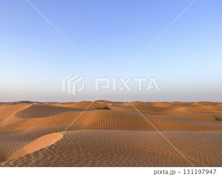 Vast golden dunes of Douz in the Tunisian desert under a clear blue sky Vast golden dunes of Douz in the Tunisian desert under a clear blue sky 131197947