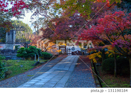 紅葉に彩られた養源院の参道 紅葉に彩られた養源院の参道 131198184
