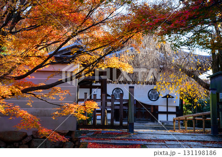 紅葉に彩られた養源院の参道 紅葉に彩られた養源院の参道 131198186