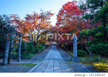 紅葉に彩られた養源院の参道 紅葉に彩られた養源院の参道 131198187
