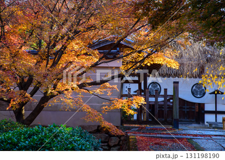 紅葉に彩られた養源院の参道 131198190