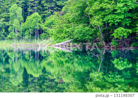 道東 静寂の湖オンネトー 道東 静寂の湖オンネトー 131198307