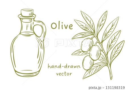 Engraving olive oil and branch vector for food packaging 131198319