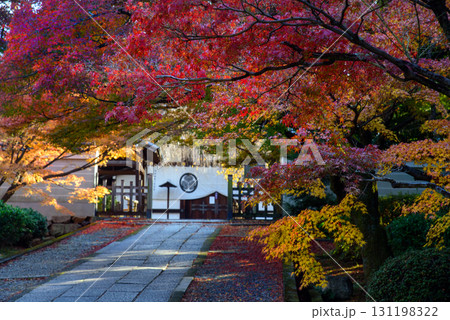 紅葉に彩られた養源院の参道 131198322