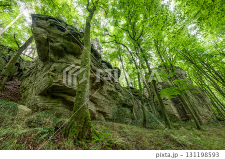 Beautiful green forest Hiking path with Sandstone chalk rock formations in Berdorf Mullerthal Luxembourg 131198593