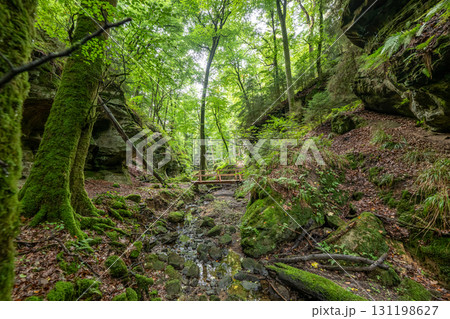 Beautiful green forest Hiking path with Sandstone chalk rock formations in Berdorf Mullerthal Luxembourg 131198627