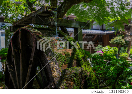 大興善寺－ツツジの寺 131198869