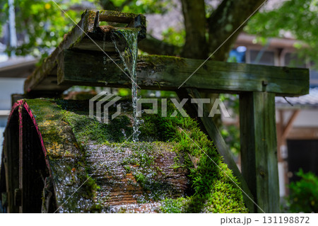 大興善寺－ツツジの寺 131198872