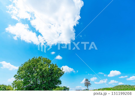 青空と雲と草原 131199208