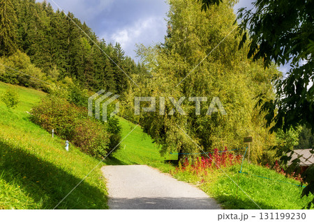 Santa Maddalena hiking path, Dolomites, Italy Santa Maddalena hiking path, Dolomites, Italy 131199230