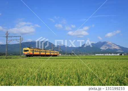 【三岐鉄道】101系と藤原岳（三岐線：丹生川〜三里） 131199233