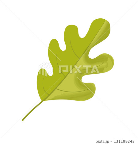 colorful green oak leaf icon 131199248